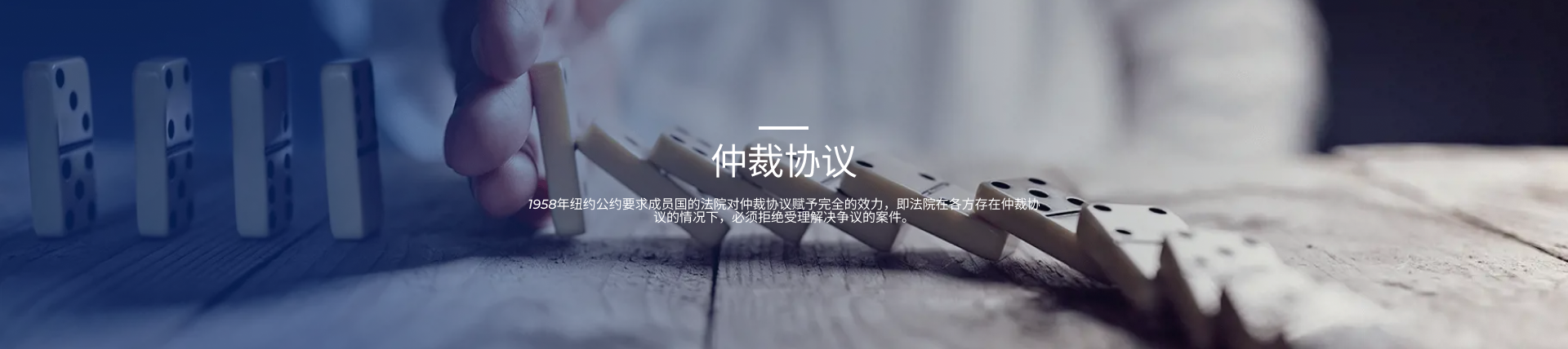 示范条款