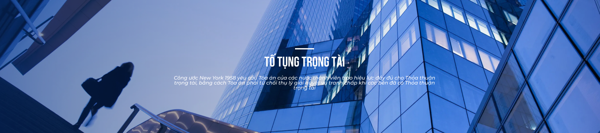 Quy tắc tố tụng